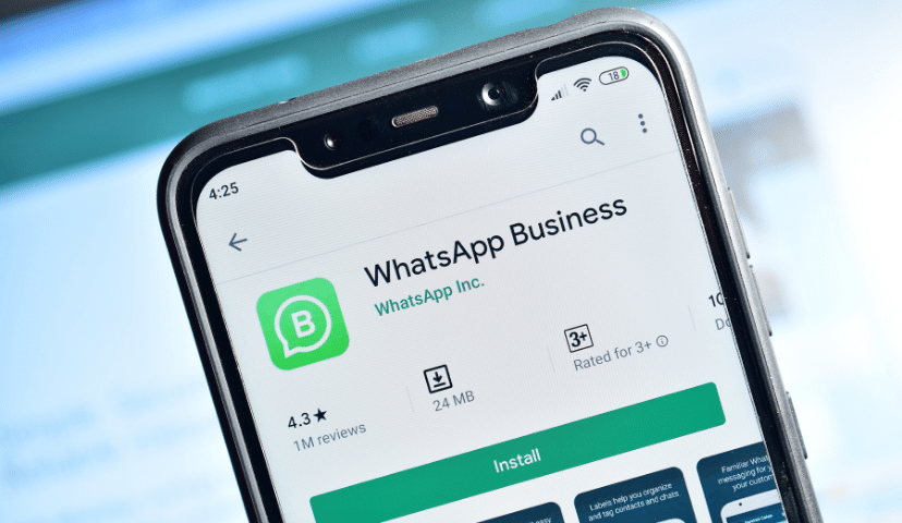 whatsapp business